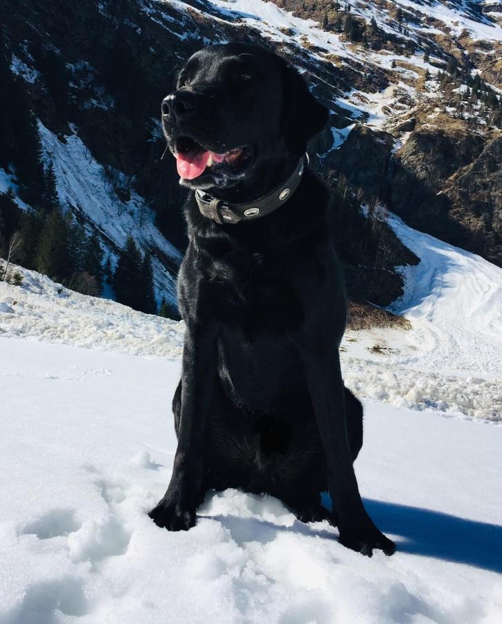 Ferienwohnung Wildkogelblick Bramberg am Wildkogel Kültér fotó